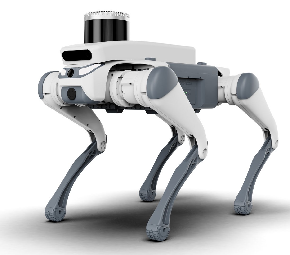 Dog Robot